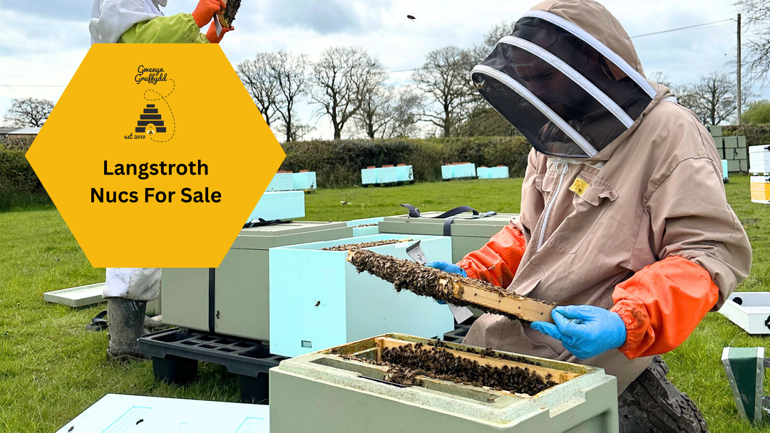 Langstroth Nucs for Sale UK – Buckfast Nucleus Colonies