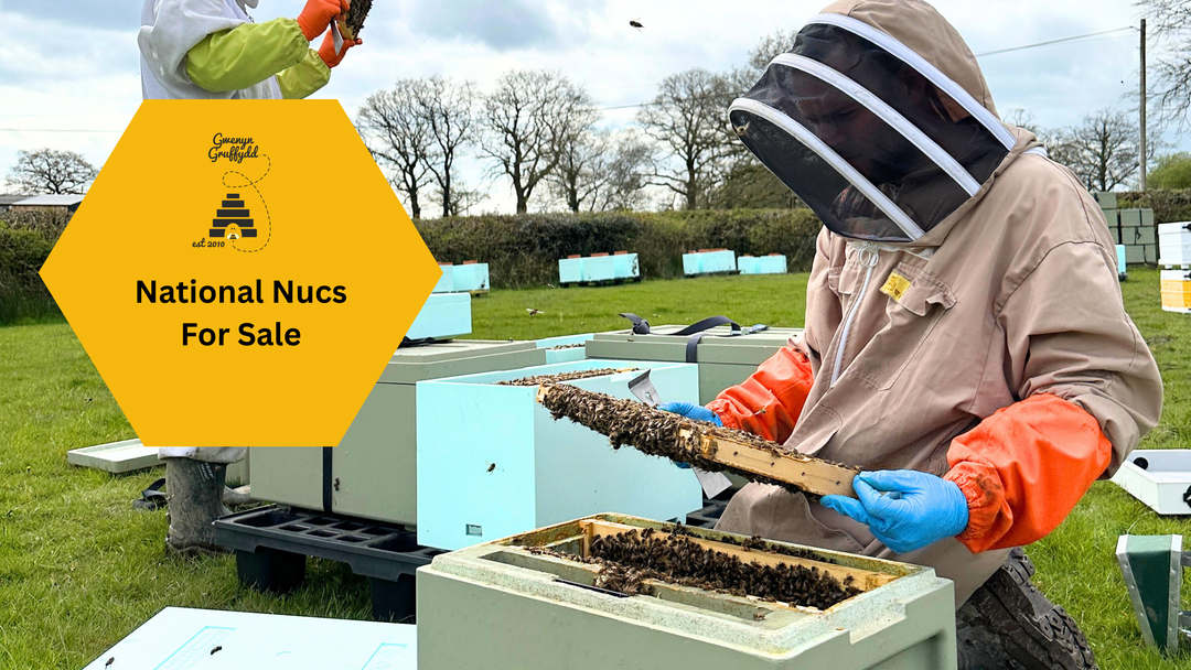 National Nucs for Sale UK – Buckfast Nucleus Colonies