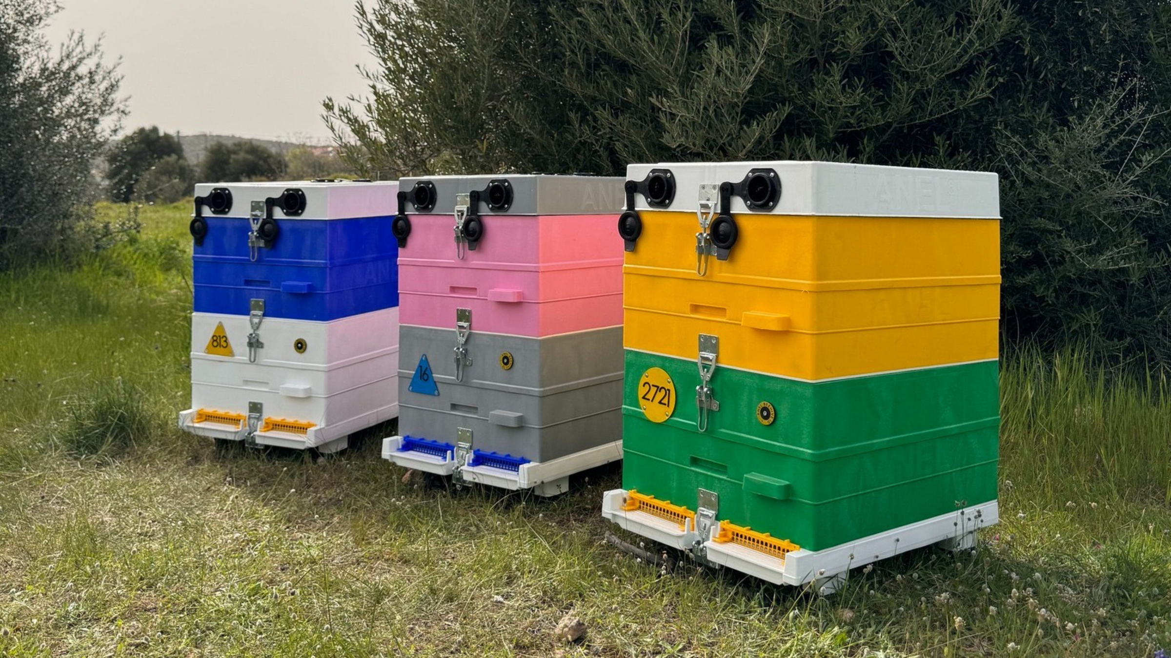 Langstroth Beehives & Parts