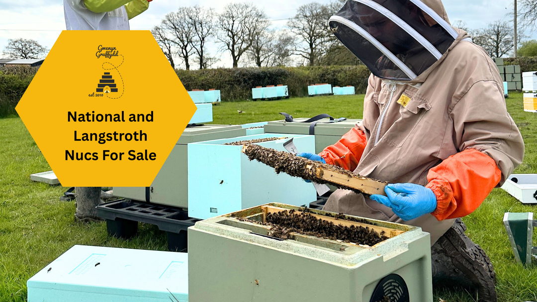 Buy Bees UK