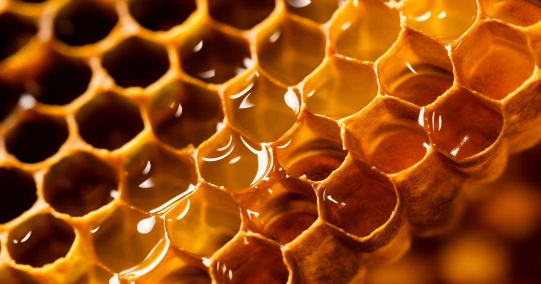 Honey Warming, Bottling & Decrystallising Equipment