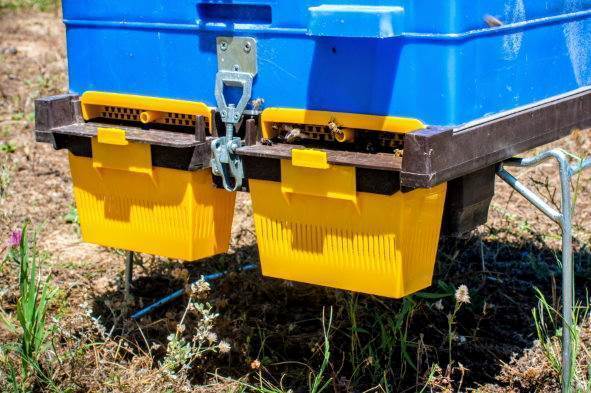 Pollen Collector Set For ANEL Floors by ANEL