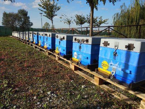 Magnetic Numbers (0 - 9) by ANEL