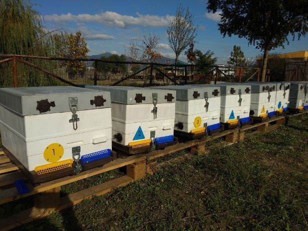 Magnetic Numbers (0 - 9) by ANEL