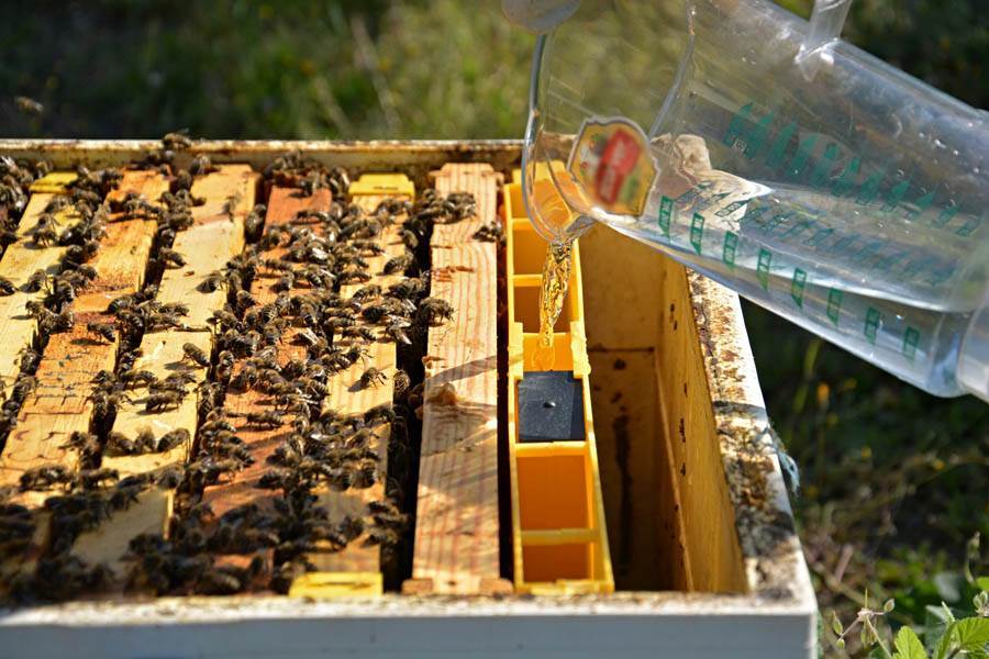 Langstroth Division Feeder - Frame Feeder with Floaters 3kg  by ANEL