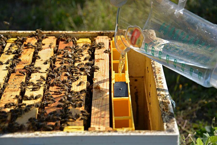 Langstroth Division Feeder - Frame Feeder with Floaters 3kg  by ANEL