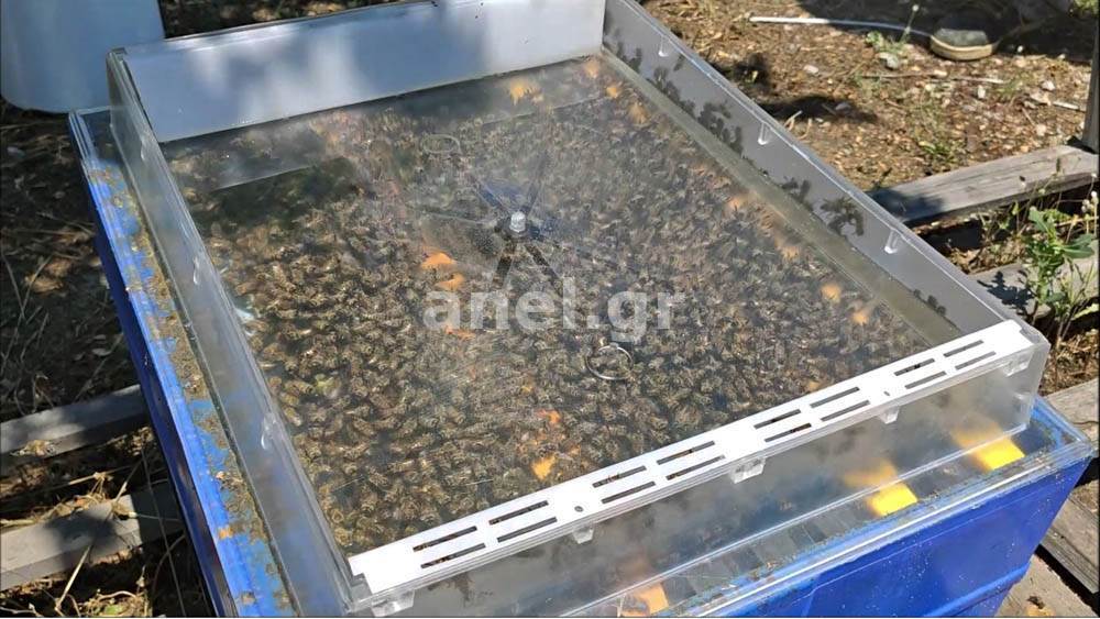 Plastic Hive Top Feeder Insert With Box, 10-Frame - Queen Right Colonies