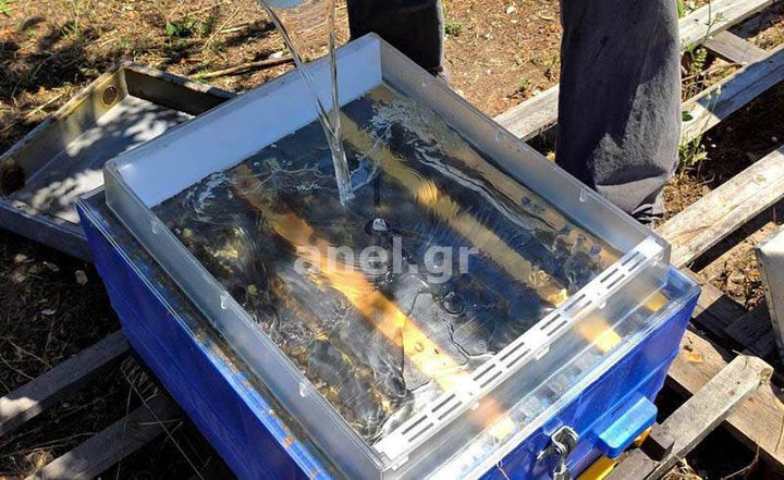 Transparent Langstroth Top Feeder 10 Frame 7.5kg by ANEL
