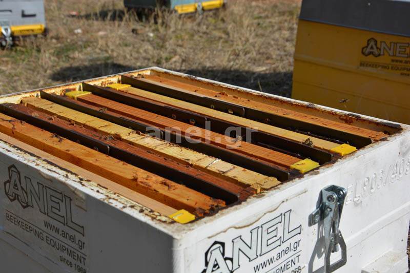 Langstroth Beehive Vertical Divider by ANEL