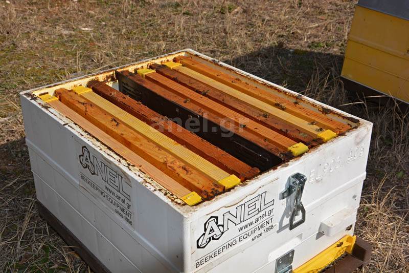 Langstroth Beehive Vertical Divider by ANEL