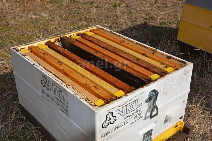 Langstroth Beehive Vertical Divider by ANEL