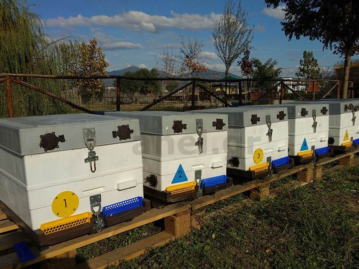 Metal Orientation Round Disk Hive ID