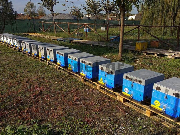 Metal Orientation Round Disk Hive ID