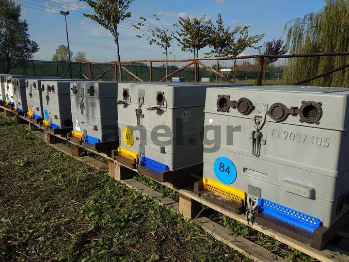 Metal Orientation Round Disk Hive ID