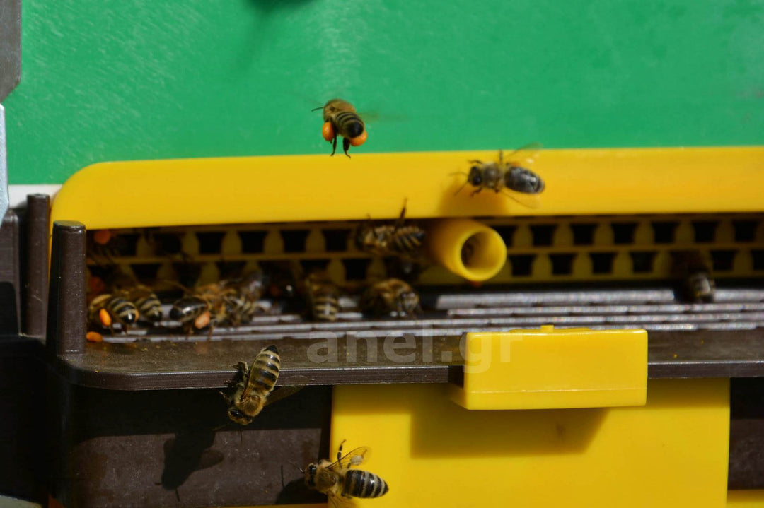 Pollen Collector Set For ANEL Floors by ANEL