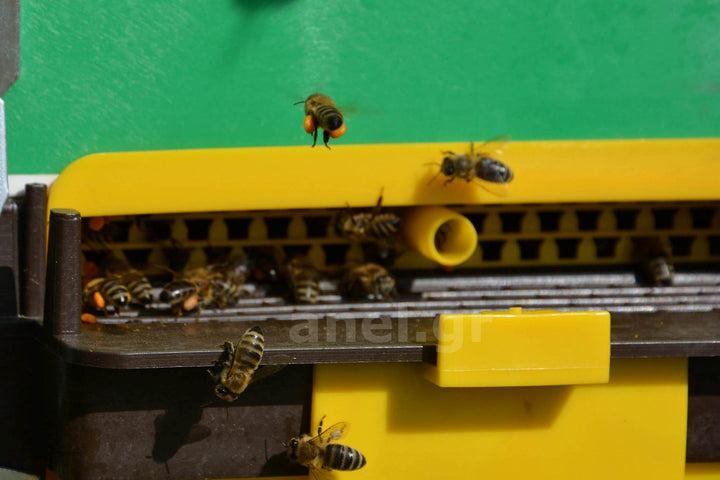 Pollen Collector Set For ANEL Floors by ANEL