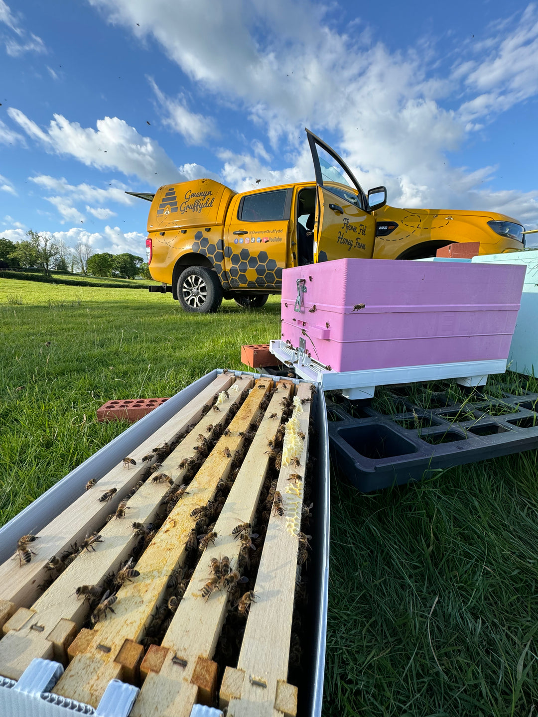 Buy Over Wintered Buckfast Bees Langstroth Flow Hive Nucleus Colonies -  Collected or Delivered