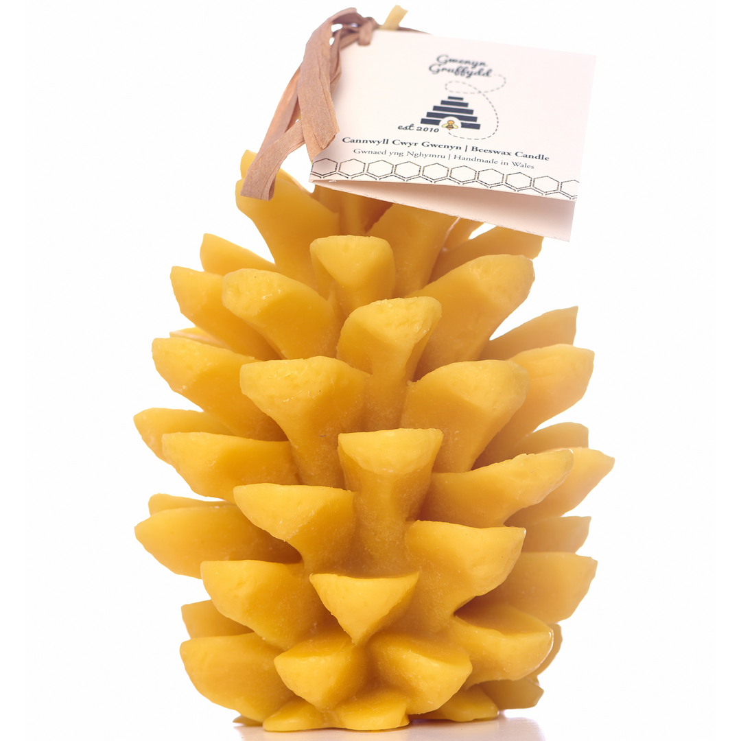 Extra Large 100% Pure Beeswax Pine Cone Candle