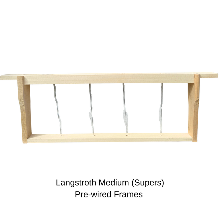 Pre-Wired Langstroth Medium ( Supers)  Frames - 10 Pack