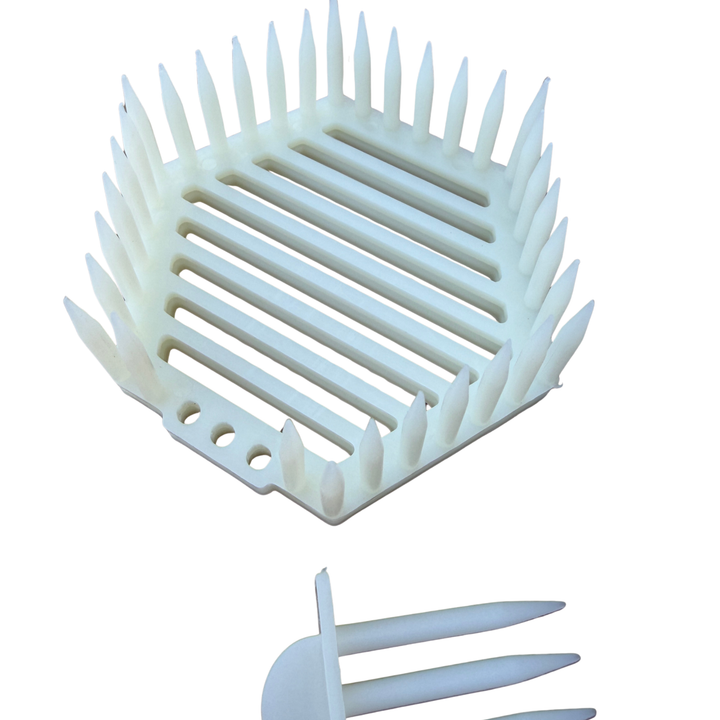 Hexagon Press-In Queen Introduction Cage with Removable Entrance