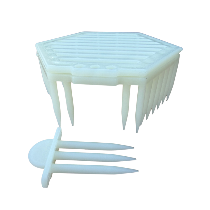 Hexagon Press-In Queen Introduction Cage with Removable Entrance