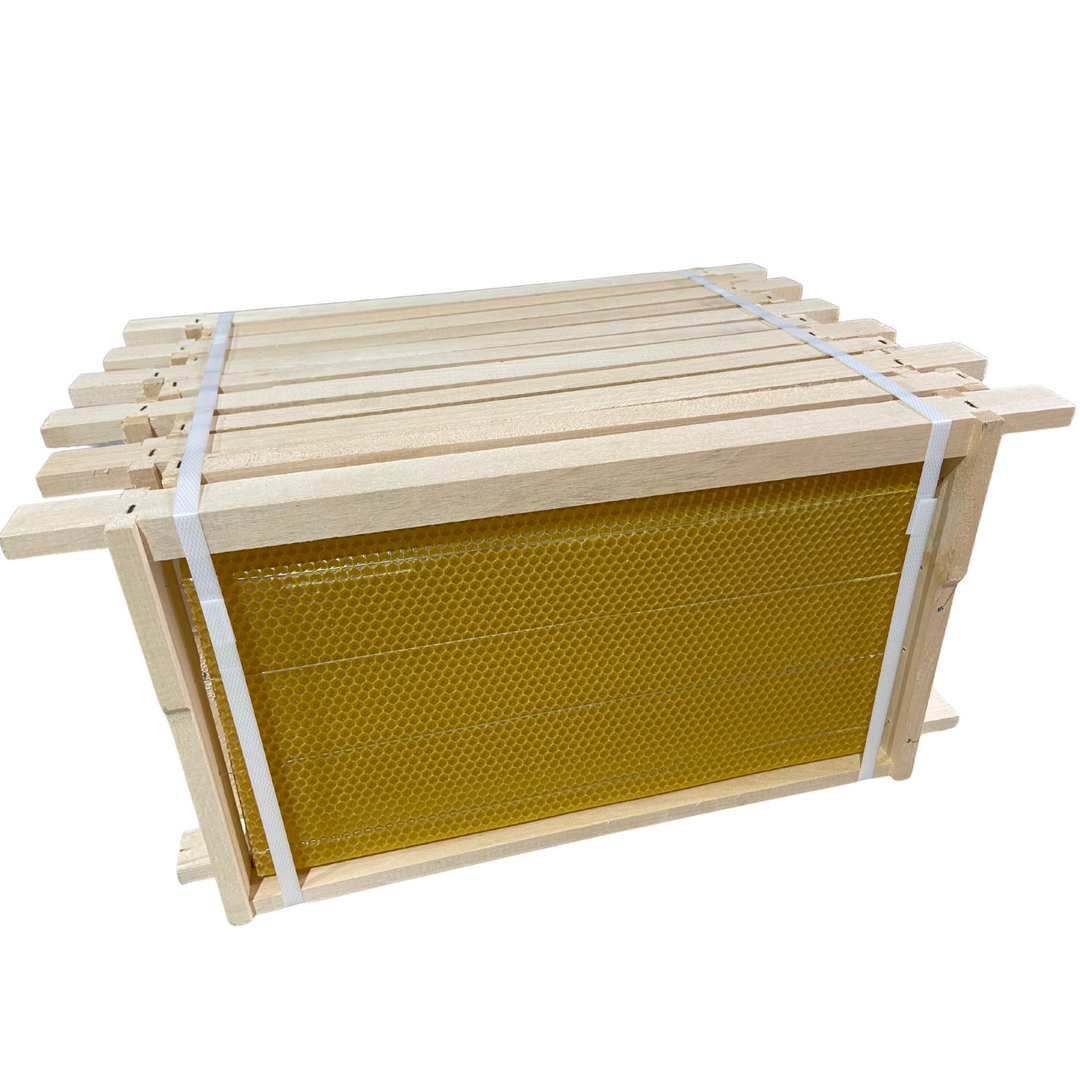 Fully Assembled National Deep Hoffman Frames with Wired Wax Foundation By Denrosa