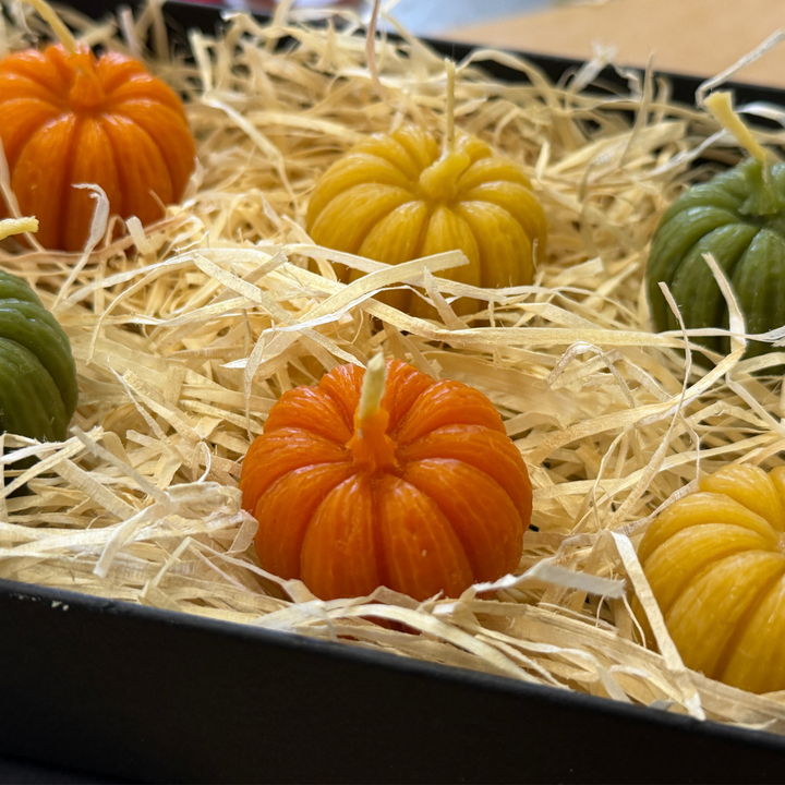 Mini Pumpkin Beeswax Candles – Gift Box of 6