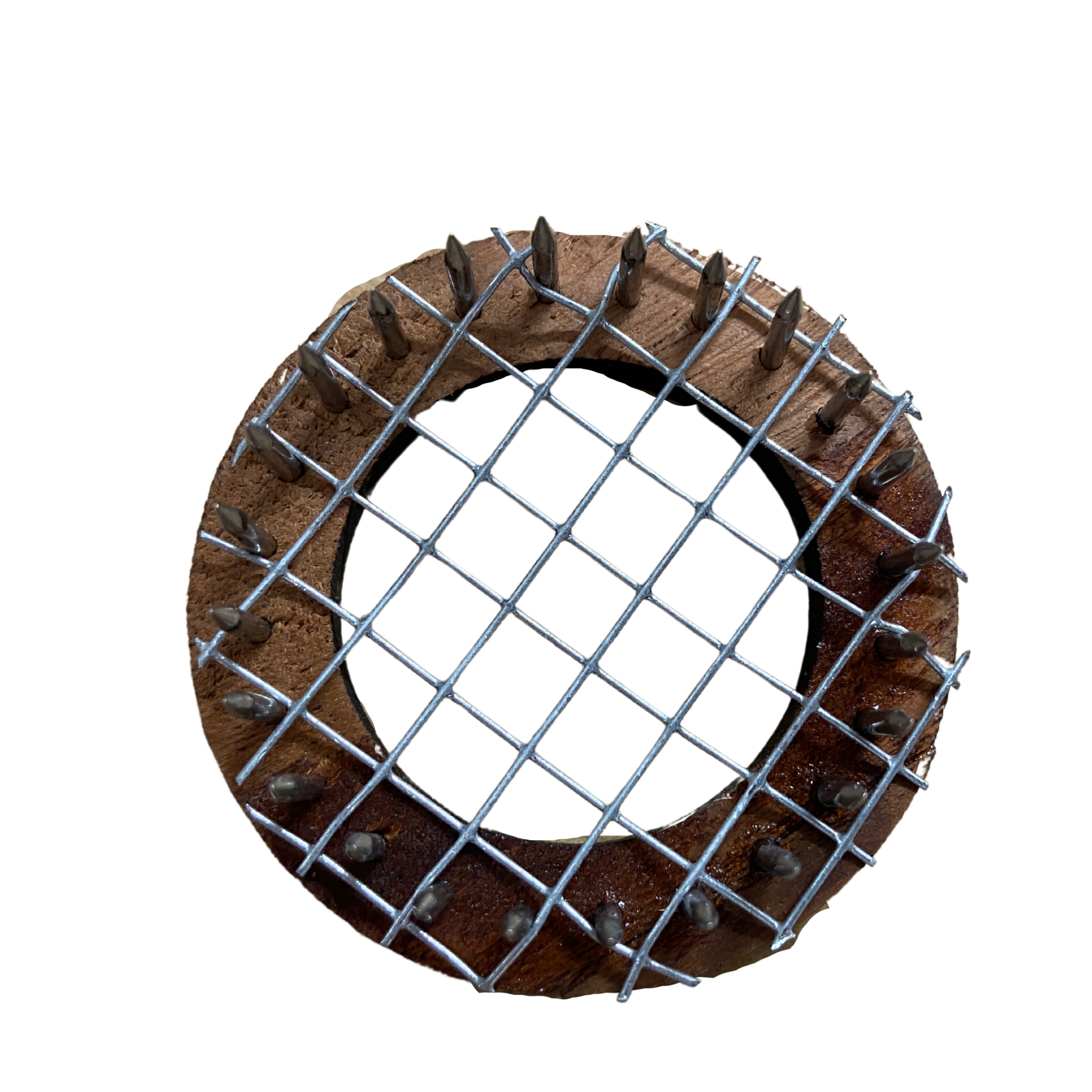 Press-In Queen Marking Cage – Bee Marking Tool UK