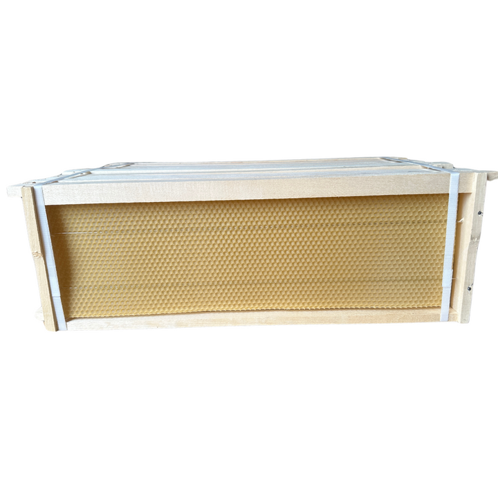 Wooden Fully Assembled Langstroth Medium (Super) Wired Frames with Wax Foundation by Denrosa