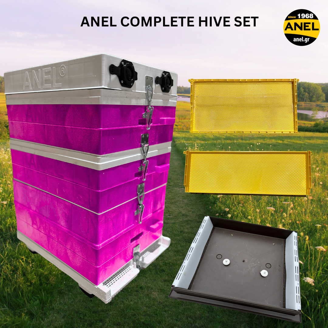 ANEL HIVE BUNDLE - Complete Hive, Frames & Feeder Set -  Langstroth Beehive
