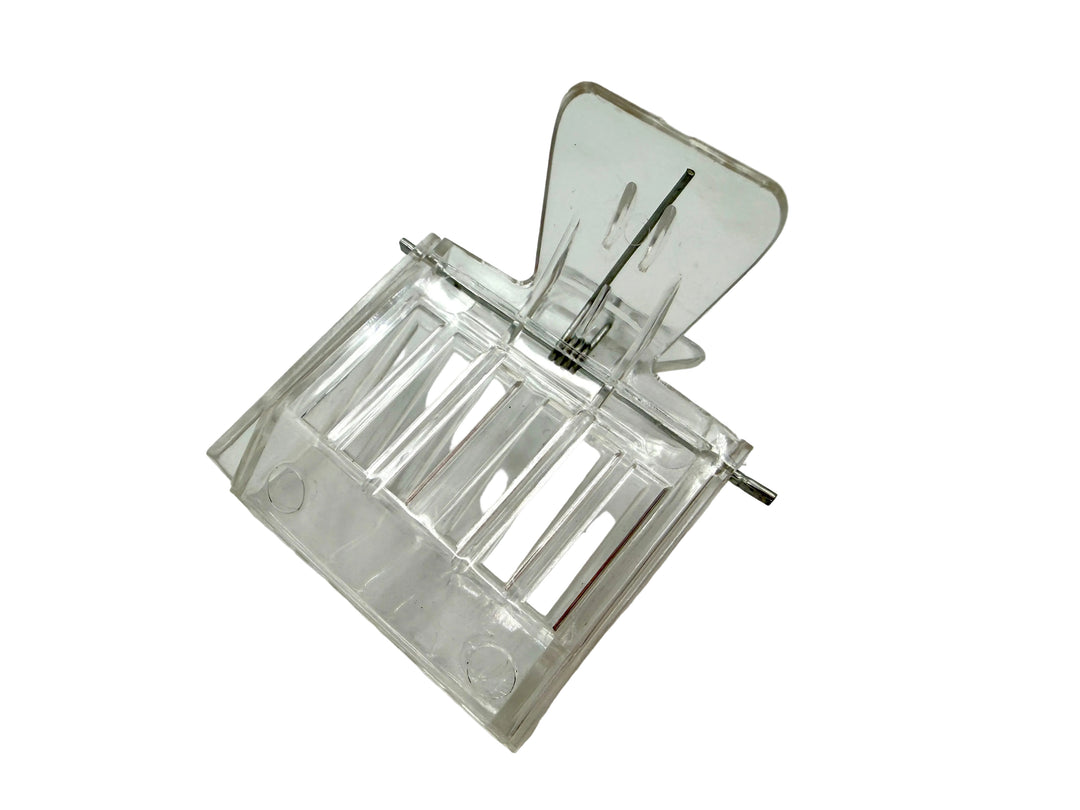 Clear plastic queen bee holder on a white background