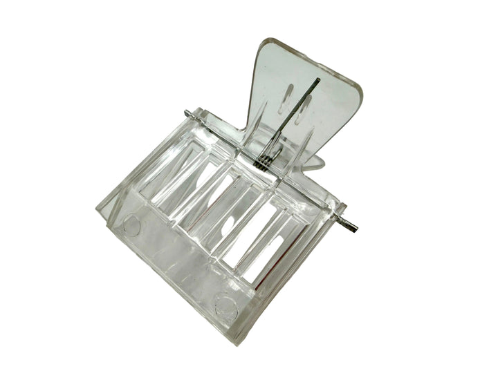 Clear plastic queen bee holder on a white background