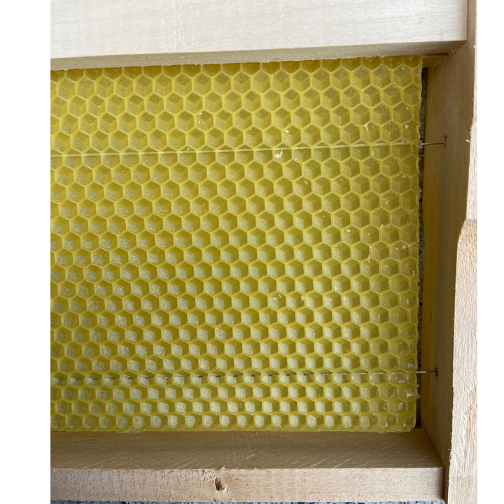 Fully Assembled National Shallow Hoffman Super Frames with Wired Wax Foundation by Denrosa