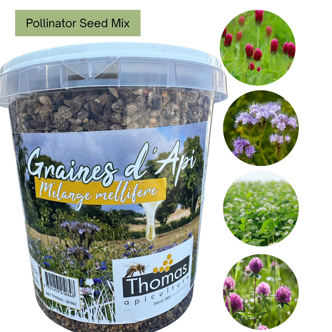 Wildflower Honeybee & Pollinator Mix - Flower Seed Mixture 500g ...