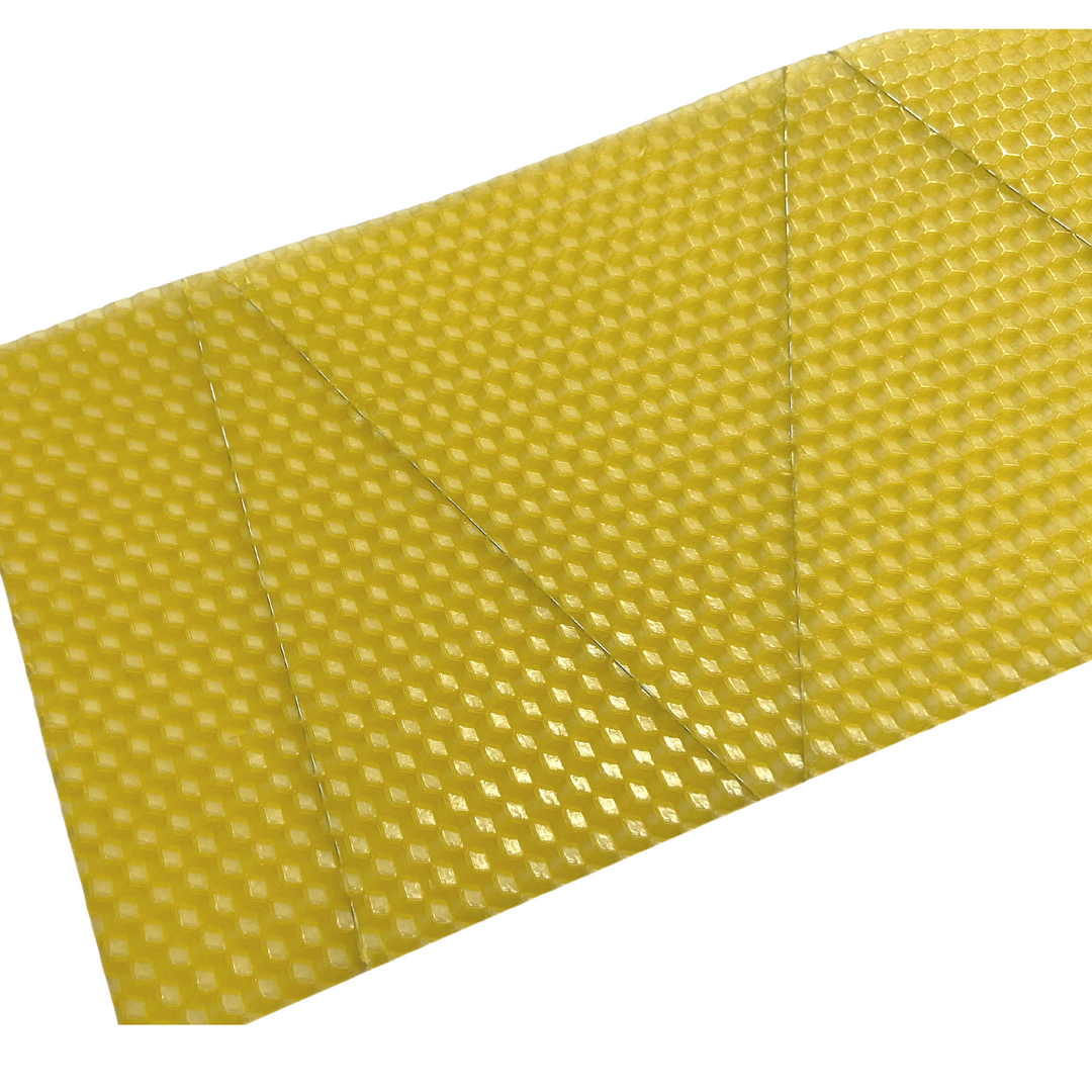 B.S. National Shallow Wired Worker Foundation Standard - 10 Pack