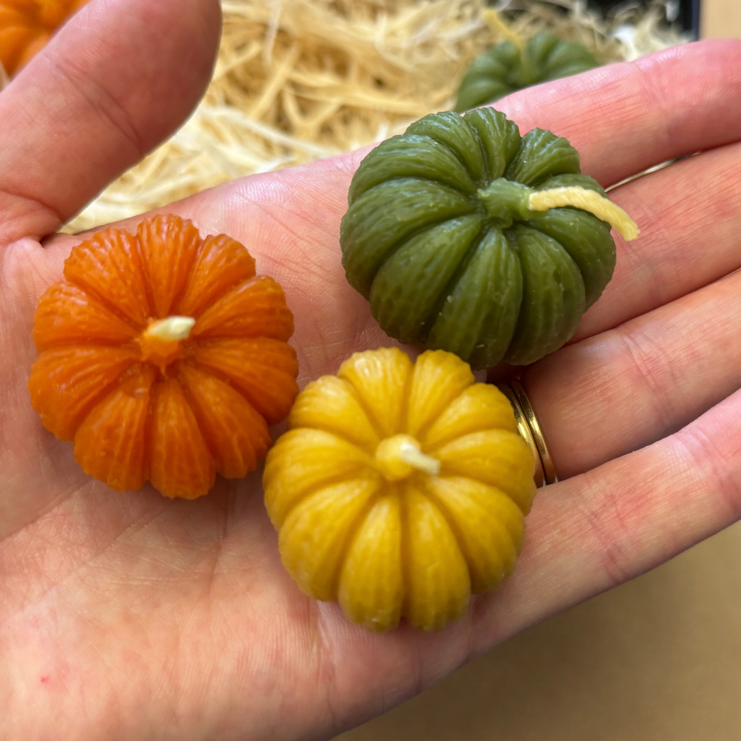 Mini Pumpkin Beeswax Candles – Gift Box of 6