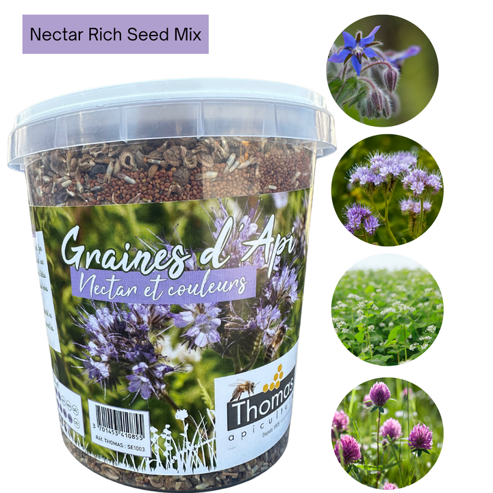Wildflower Honeybee Mix - Nectar Flower Seed Mixture 500g (Nectar and Colours)