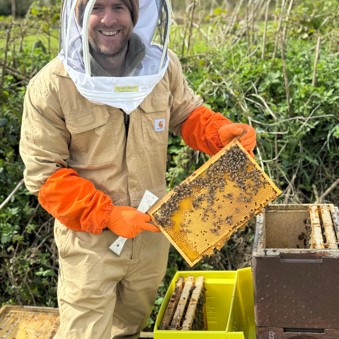Buy Over Wintered Buckfast Bees Langstroth Flow Hive Nucleus Colonies -  Collected or Delivered