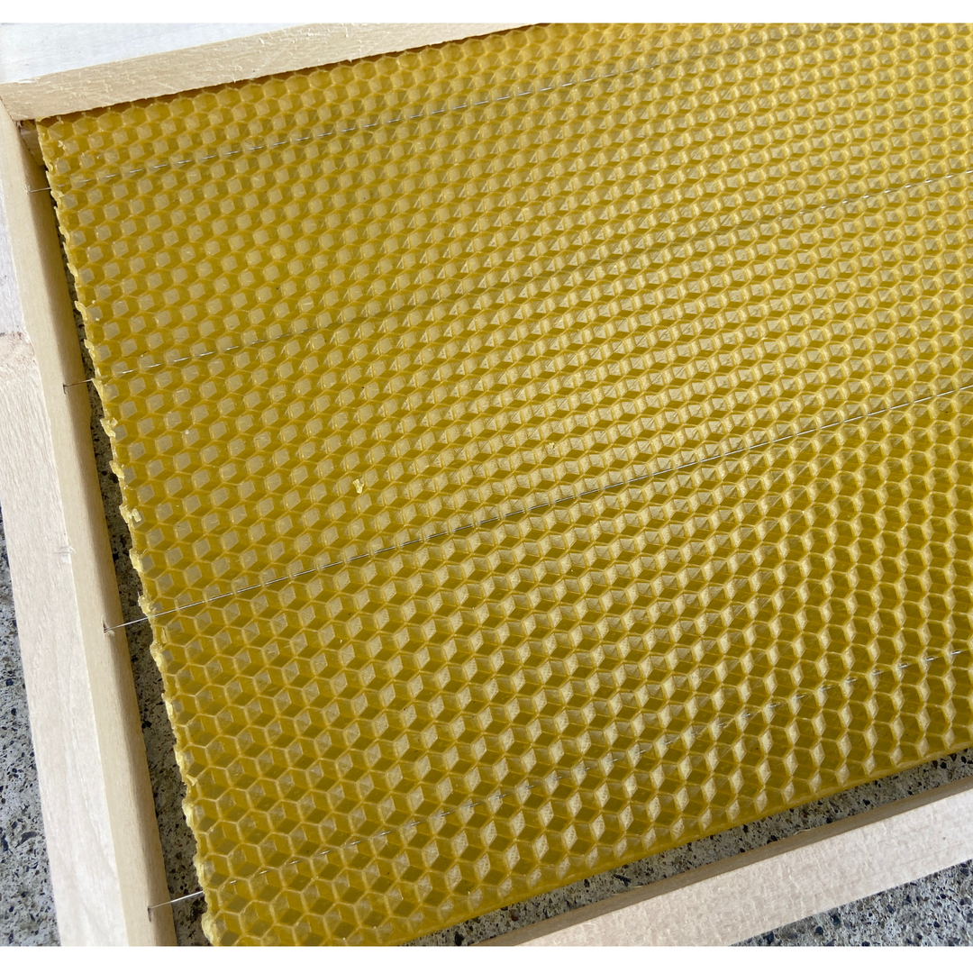 Fully Assembled National Deep Hoffman Frames with Wired Wax Foundation By Denrosa