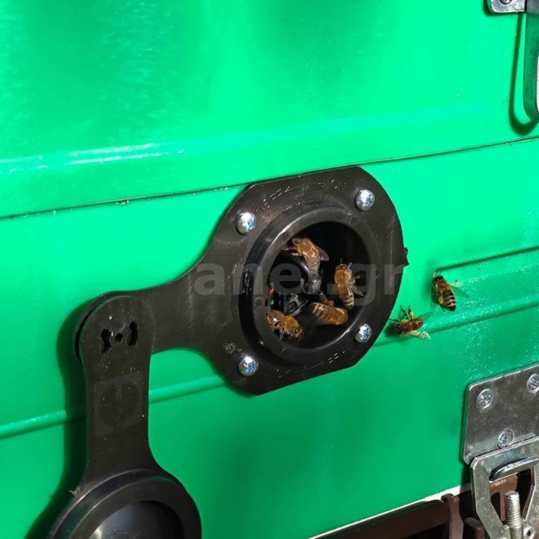 Entrance, Ventilation and Feeding Hybrid Plug ANEL