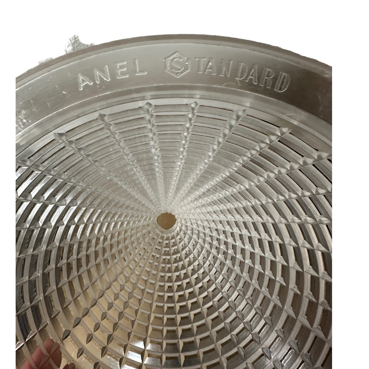 Asian Hornet Cone Trap by ANEL