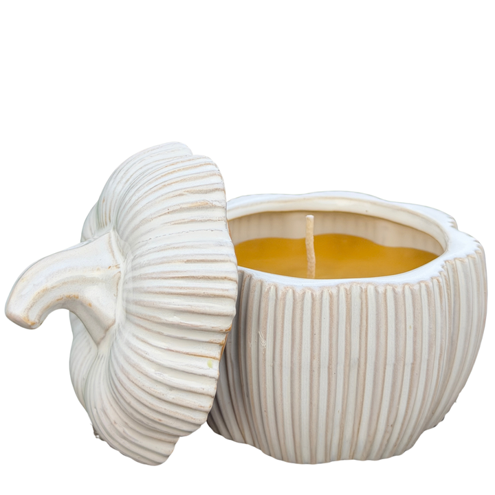 Ceramic Pumpkin Beeswax Candle