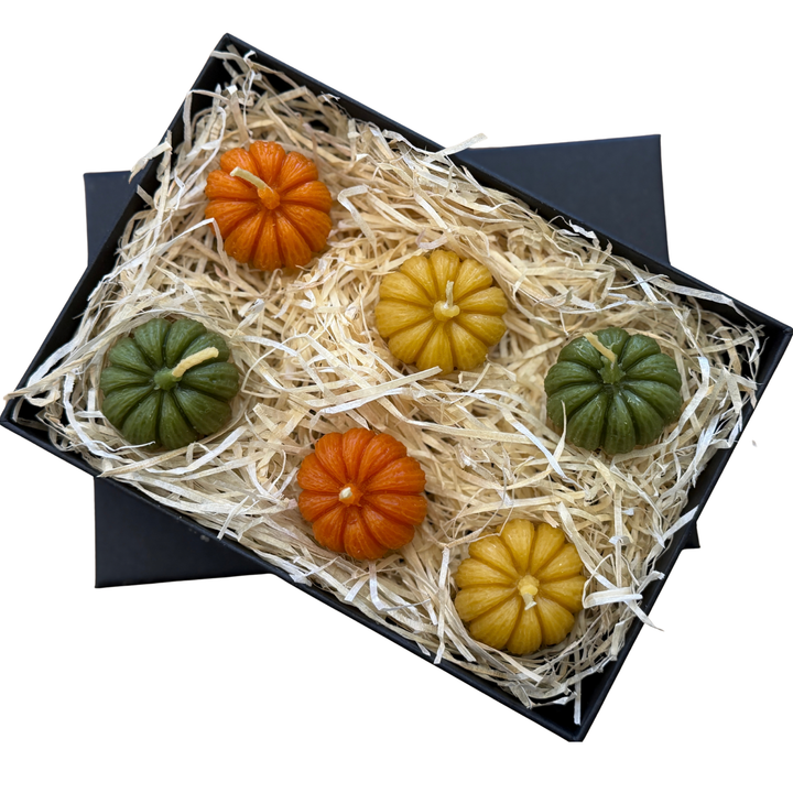 Mini Pumpkin Beeswax Candles – Gift Box of 6