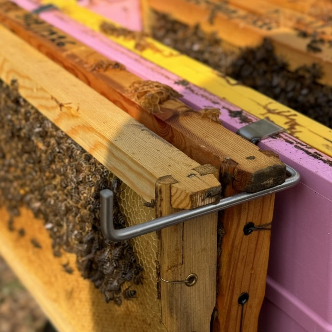 ANEL Metal Holder For Frames on Beehive Frame Rest