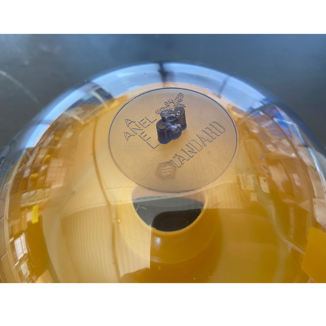 Dome Wasp and Asian Hornet Trap by Anel