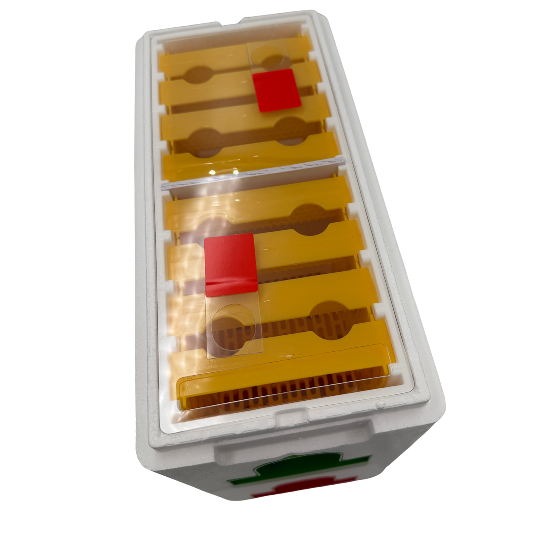 Double Decker Poly Queen Rearing Nuc Box – 2 Layer, 16 Frame with Feeder &amp; Excluder