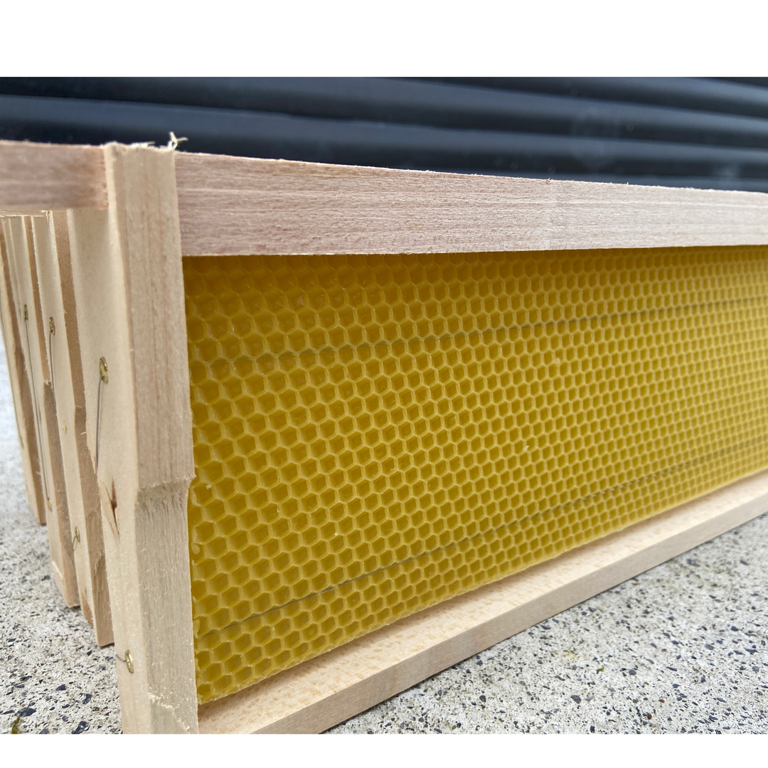 Fully Assembled National Shallow Hoffman Super Frames with Wired Wax Foundation by Denrosa