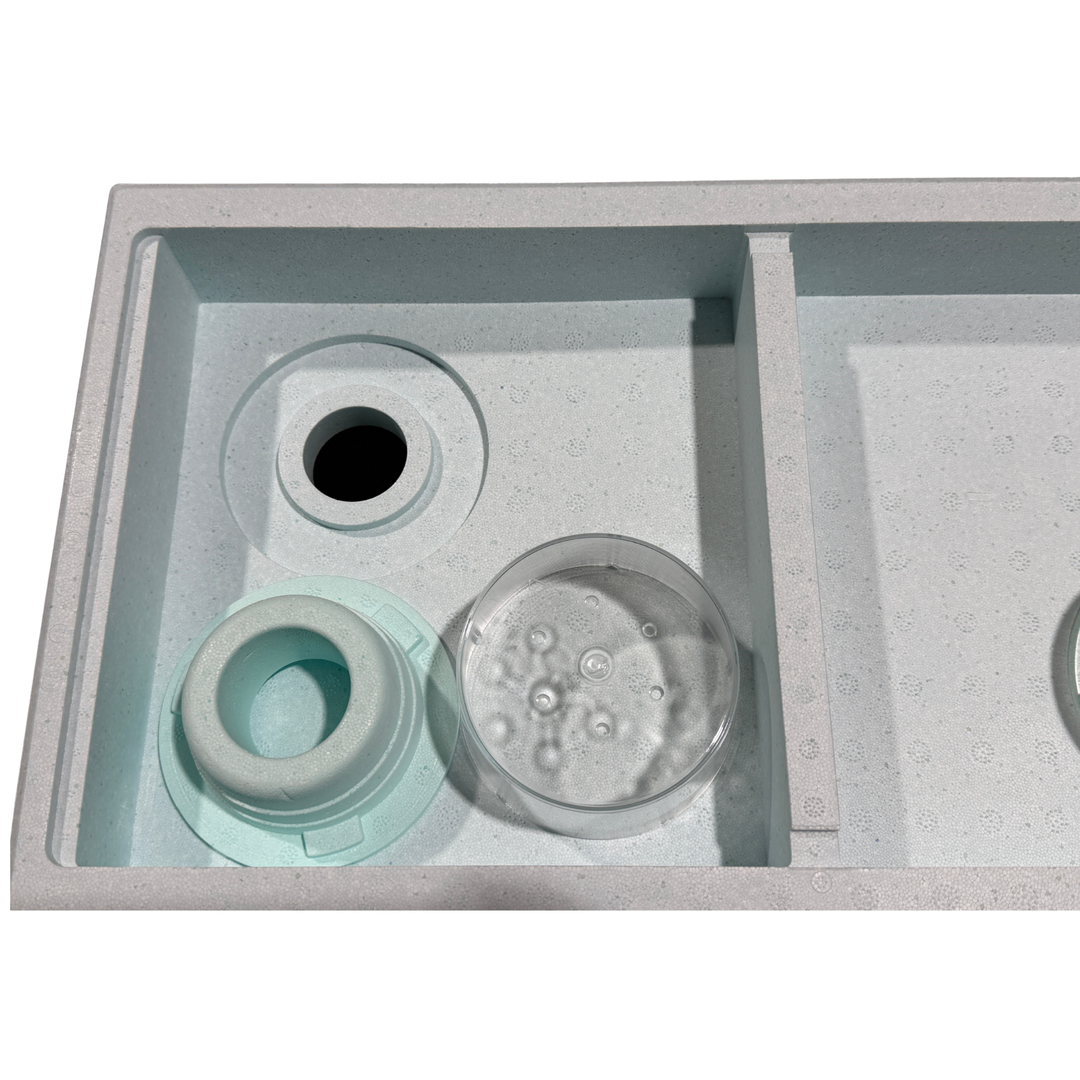 Quarti 2-in-1 Langstroth 6 Frame Poly Nuc with Metal Lid