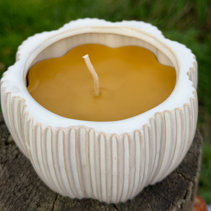 Ceramic Pumpkin Beeswax Candle