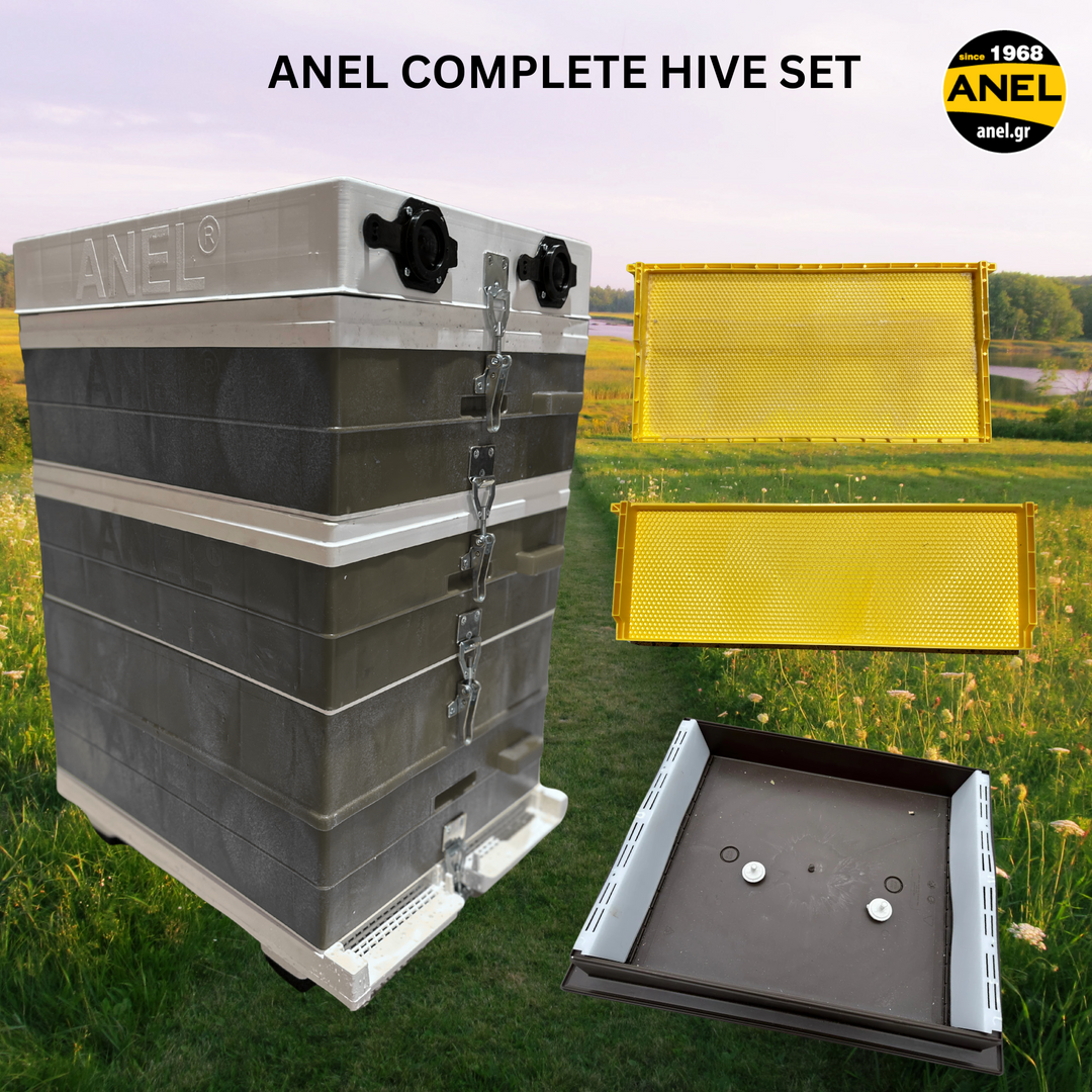 ANEL HIVE BUNDLE - Complete Hive, Frames & Feeder Set -  Langstroth Beehive